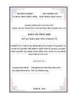 NGHIÊN CỨU VI RÚT GÂY BỆNH HOẠI TỬ CƠ QUAN TẠO MÁU VÀ CƠ QUAN LẬP BIỂU MÔ (IHHNV) TRÊN TÔM SÚ (Penaeus monodon) NUÔI TẠI KHU VỰC ĐỒNG BẰNG SÔNG CỬU LONG VÀ GIẢI PHÁP HẠN CHẾ SỰ LÂY LAN