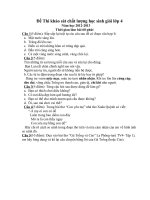 Đề thi tv khảo sát chất lượng học sinh giỏi lớp 4,5