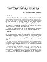 ĐIỀU TRỊ UNG THƯ BÓNG VATER BẰNG CẮT KHỐI TÁ TỤY - NHÂN MỘT TRƯỜNG HỢP