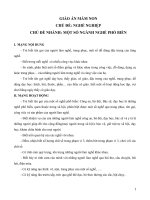 giáo án lớp mầm chủ đề nghề truyền thống ở địa phương   GA 6 