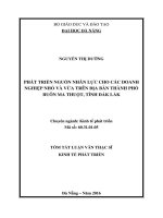 Phát triển nguồn nhân lực cho các doanh nghiệp nhỏ và vừa trên địa bàn thành phố buôn ma thuột, tỉnh đắk lắk 