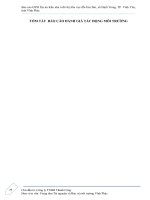 Báo cáo ĐTM Dự án Khu nhà ở đô thị khu vực đồi Hai Đai, xã Định Trung, TP. Vĩnh Yên, tỉnh Vĩnh Phúc