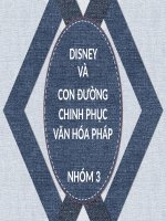 CASE STUDY   WALT DISNEY KINH DOANH QUỐC TẾ
