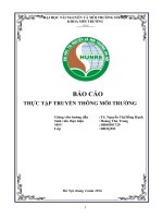 BÁO CÁO THỰC TẬP TRUYỀN THÔNG MÔI TRƯỜNG