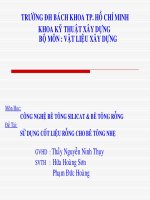 Tiểu luận Sử dụng cốt liệu rỗng cho bê tông nhẹ