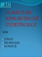 CÁC NHÂN TỐ ẢNH HƯỞNG ĐẾN TÍNH CHẤT CƠ LÝ BÊ TÔNG SILICAT