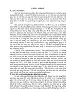 Bồi dưỡng học sinh năng khiếu giải toán qua mạng Internet