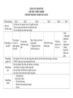 giáo án lớp mầm chủ đề nghề truyền thống ở địa phương   GA 5