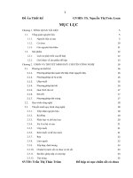 đồ án thiết kế: cá chiên sốt