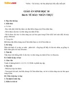 Giáo án Sinh học 10 bài 8: Tế bào nhân thực