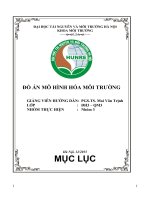 đồ án mô hình hóa môi trường
