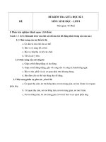 Đề kiểm tra giữa học kì 1 môn sinh học lớp 8 đề số 3 