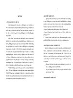 Tín dụng bất động sản của các ngân hàng thương mại trên địa bàn TP.HCM  Thực trạng và giải pháp