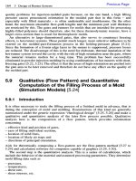 Qualitative (Flow Pattern) and QuantitativeComputation of the Filling Process of a Mold(Simulation Models)