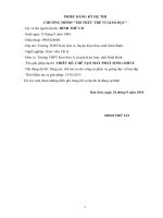 Thiết kế, chế tạo máy phát sóng Shive