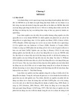 Rủi ro và lợi nhuận của các ngân hàng thương mại trường hợp việt nam và các nước châu á thái bình dương