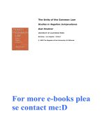 The Unity of the Common Law  Studies in Hegelian Jurisprudence 1995 08  Philosophy  Social Theory  and the Rule of Law