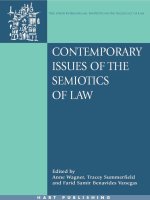 Contemporary Issues of the Semiotics of Law  Cultural and Symbolic Analyses of Law in a Global Context  O nati International Series in Law and Society