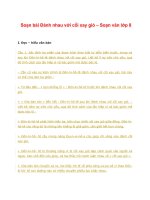 Soạn bài đánh nhau với cối xay gió