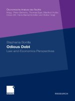 Odious Debt  Law and Economics Perspectives