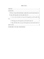 BÀI TẬP HỌC KỲ MÔN: Pháp luật Liên minh châu Âu