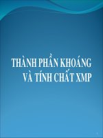 THÀNH PHẦN KHOÁNG VÀ TÍNH CHẤT XI MĂNG PORTLAND