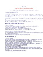 TÀI LIỆU THAM KHẢO   QUY CÁCH CHỮ VIẾT HOA TRONG TIẾNG VIỆT với các văn bản HÀNH CHÍNH