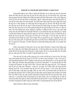 Nguồn gốc sự xung đột giữa người palestine và người israel