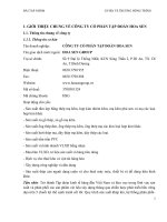 Bài tập nhóm Phân tích giá trị Công ty cổ phần tập đoàn Hoa Sen