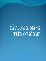 CÁC LOẠI XI MĂNG TRÊN CƠ SỞ XI MĂNG PORTLAND