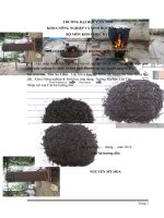 Khảo sát hiệu quả đun nấu sửdụng lò Anila và tính chất Biochar từ các nguồn nguyên liệu