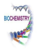 lipid phức tạp STEROID và STEROL