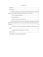 Bài tập học kỳ Luật tố tụng dân sự