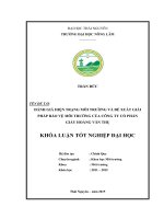 Đánh giá hiện trạng môi trường và đề xuất giải pháp bảo vệ môi trường của công ty cổ phần giấy hoàng văn thụ 