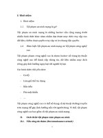 Tiểu luận An ninh truyen thong