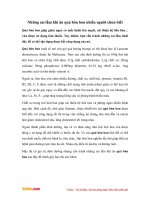 Những sai lầm khi ăn quả bòn bon nhiều người chưa biết