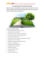 Từ vựng tiếng Anh về chủ đề môi trường