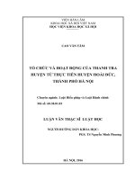 Tổ chức và hoạt động của thanh tra huyện từ thực tiễn huyện Hoài Đức, Thành phố Hà Nội