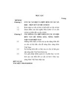 TIỂU LUẬN   BIẾN đổi cơ cấu xã hội và tác ĐỘNG của nó đến NÔNG dân, NÔNG THÔN VIỆT NAM HIỆN NAY