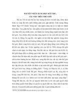 TIỂU LUẬN   NGUYÊN NHÂN XUNG đột dân tộc, sắc tộc TRÊN THẾ GIỚI