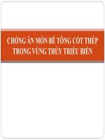CHỐNG ĂN MÒN BÊ TÔNG CỐT THÉP TRONG VÙNG THỦY TRIỀU BIỂN
