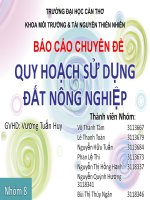 Khái niệm Quy hoạch sử dụng đất nông nghiệp