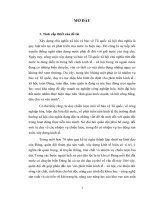 ĐỀ tài KHOA học   mô HÌNH và PHƯƠNG THỨC HOẠT ĐỘNG của các lực LƯỢNG QUÂN đội sản XUẤT, xây DỰNG KINH tế