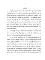 TIỂU LUÂN CHUYÊN NGÀNH   GIỮ gìn và PHÁT HUY bản sắc văn hóa dân tộc KHI VIỆT NAM TRỞ THÀNH THÀNH VIÊN WTO