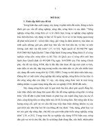 LUẬN văn THẠC sĩ  CHUYÊN NGÀNH  VAI TRÒ của NÔNG dân TỈNH BÌNH DƯƠNG TRONG xây DỰNG NÔNG THÔN mới HIỆN NAY