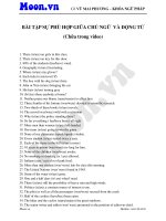 chua bai tap su phu hop giua chu ngu va dong tu 