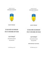 Xây dựng chiến lược kinh doanh công ty cổ phần Bibica đến năm 2020