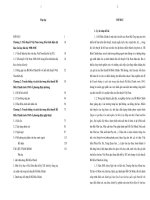 Truyền thống và cách tân trong tiểu thuyết Hồ Biểu Chánh trước 1945