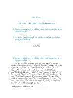 BÀI LUẬN Pháp luật về quản trị doanh nghiệp: Vai trò quản trị DN tại các thị trường mới nổi.