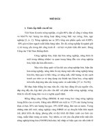 LUẬN án TIẾN sĩ   HUY ĐỘNG vốn PHÁT TRIỂN NÔNG NGHIỆP HÀNG hóa ở VÙNG ĐỒNG BẰNG SÔNG HỒNG nước TA